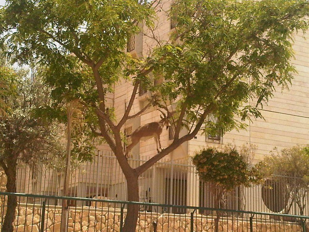 Ramon Suites By Smart Hotels Mitzpe Ramon Exterior photo