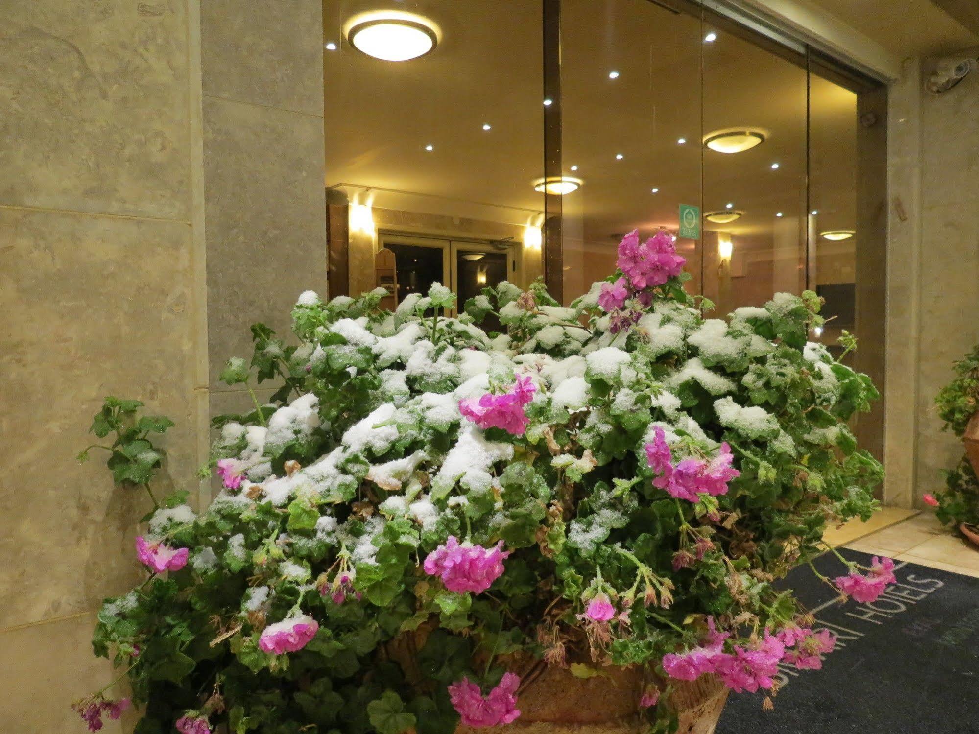 Ramon Suites By Smart Hotels Mitzpe Ramon Exterior photo